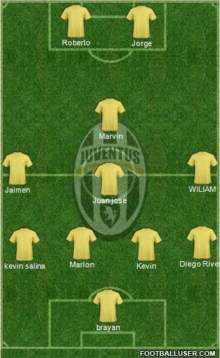Juventus Formation 2013