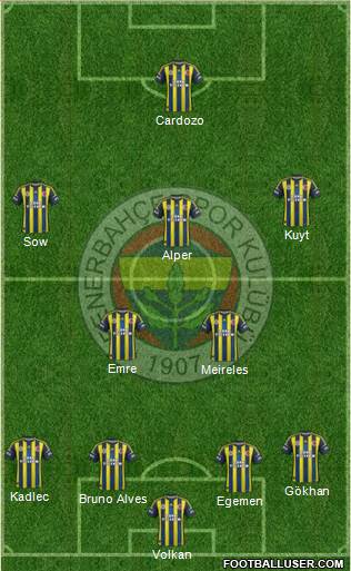 Fenerbahçe SK Formation 2013