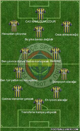 Fenerbahçe SK Formation 2013