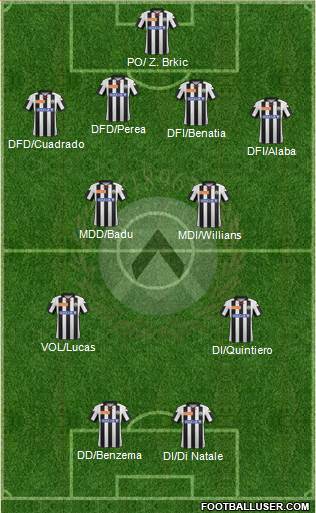 Udinese Formation 2013