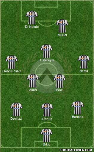 Udinese Formation 2013