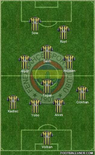 Fenerbahçe SK Formation 2013