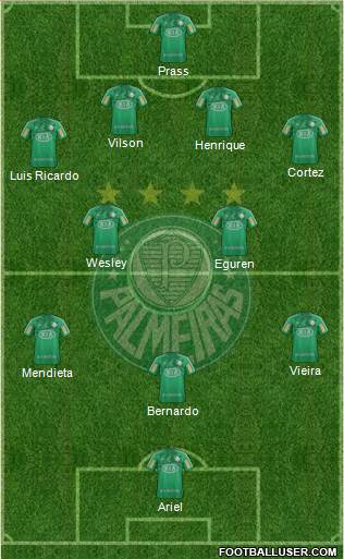SE Palmeiras Formation 2013