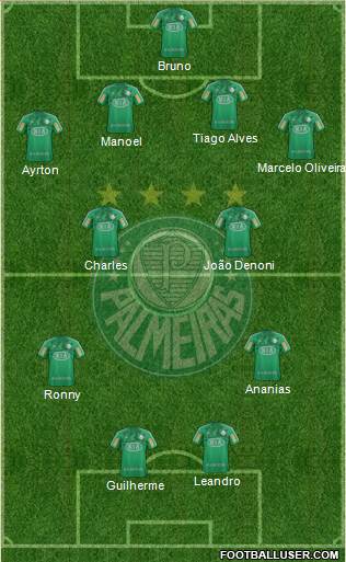 SE Palmeiras Formation 2013