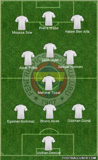 Fenerbahçe SK Formation 2013