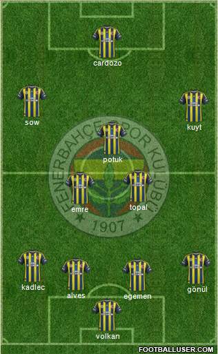 Fenerbahçe SK Formation 2013