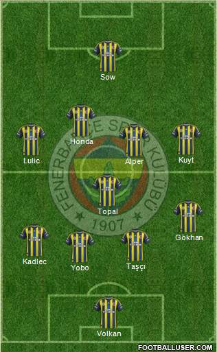 Fenerbahçe SK Formation 2013
