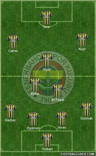 Fenerbahçe SK Formation 2013