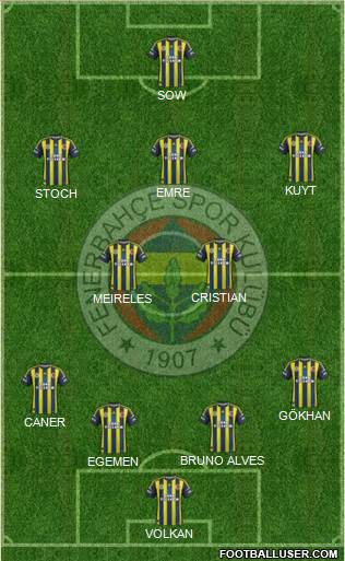 Fenerbahçe SK Formation 2013