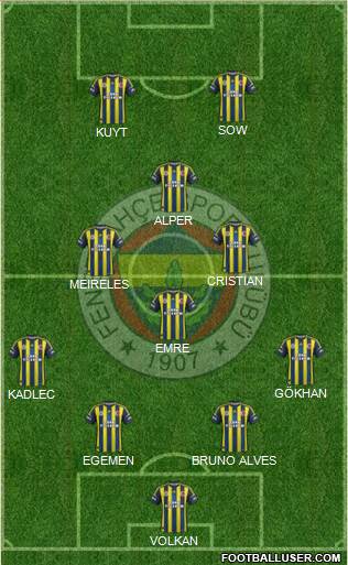 Fenerbahçe SK Formation 2013
