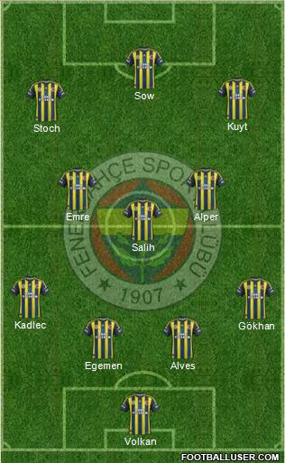 Fenerbahçe SK Formation 2013