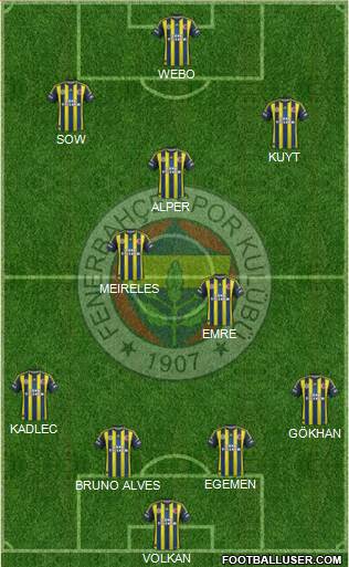 Fenerbahçe SK Formation 2013