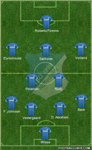 TSG 1899 Hoffenheim Formation 2013