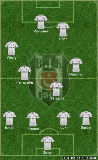 Besiktas JK Formation 2013