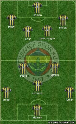 Fenerbahçe SK Formation 2013