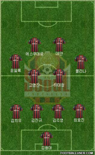 FC Seoul Formation 2013