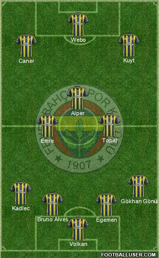 Fenerbahçe SK Formation 2013