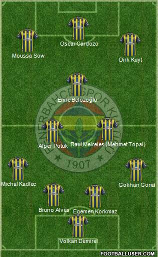 Fenerbahçe SK Formation 2013