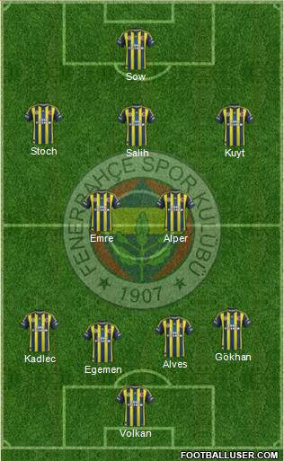 Fenerbahçe SK Formation 2013