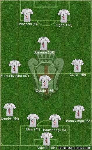 Pro Vercelli Formation 2013