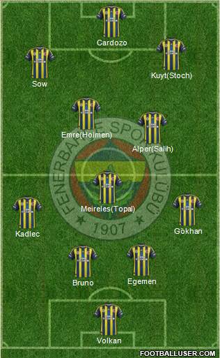 Fenerbahçe SK Formation 2013