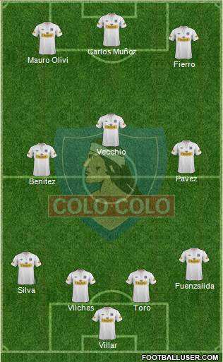 CSD Colo Colo Formation 2013