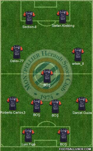 Montpellier Hérault Sport Club Formation 2013