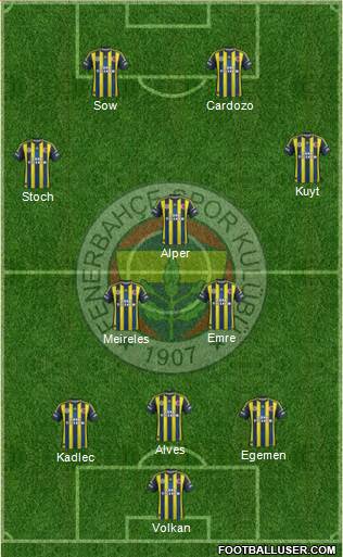 Fenerbahçe SK Formation 2013
