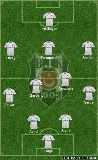Besiktas JK Formation 2013