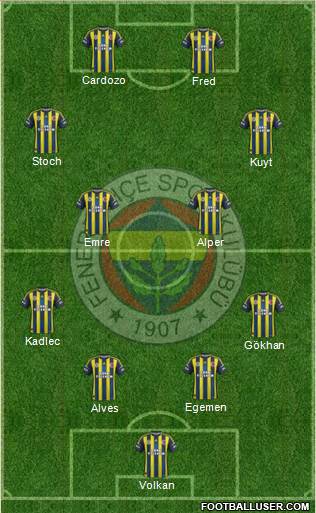 Fenerbahçe SK Formation 2013