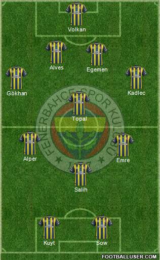 Fenerbahçe SK Formation 2013