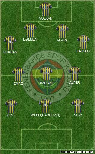 Fenerbahçe SK Formation 2013