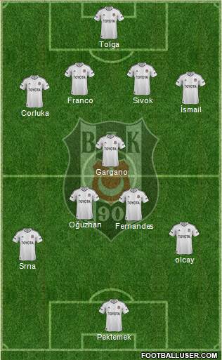 Besiktas JK Formation 2013