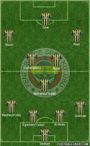 Fenerbahçe SK Formation 2013