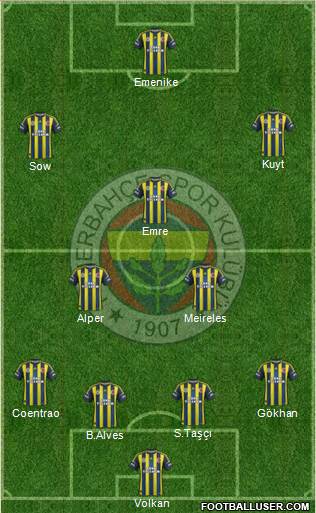 Fenerbahçe SK Formation 2013
