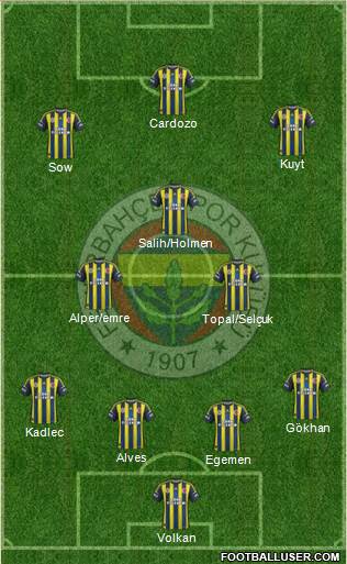 Fenerbahçe SK Formation 2013