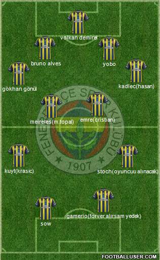 Fenerbahçe SK Formation 2013
