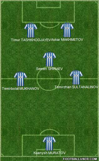 Brighton and Hove Albion Formation 2013