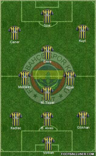 Fenerbahçe SK Formation 2013