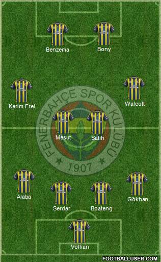 Fenerbahçe SK Formation 2013