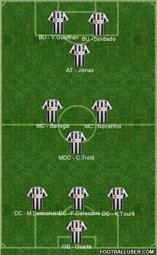 Newcastle United Formation 2013