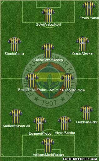 Fenerbahçe SK Formation 2013