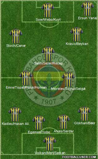 Fenerbahçe SK Formation 2013