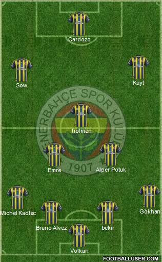 Fenerbahçe SK Formation 2013