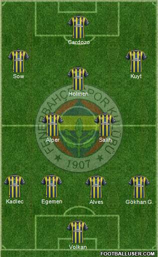 Fenerbahçe SK Formation 2013