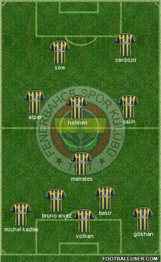 Fenerbahçe SK Formation 2013