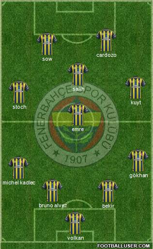 Fenerbahçe SK Formation 2013