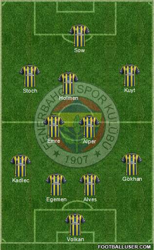 Fenerbahçe SK Formation 2013