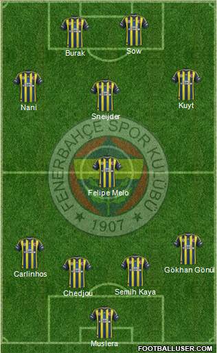 Fenerbahçe SK Formation 2013