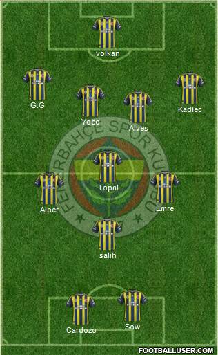 Fenerbahçe SK Formation 2013